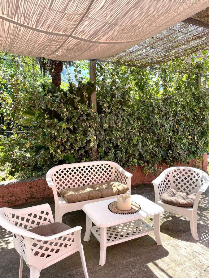 Cozy Little House Kotor Apartment Екстериор снимка